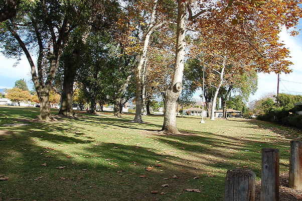 DSC 0136