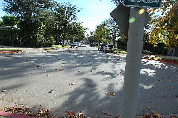 DSC 0133