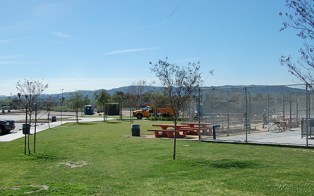 DSC 0003
