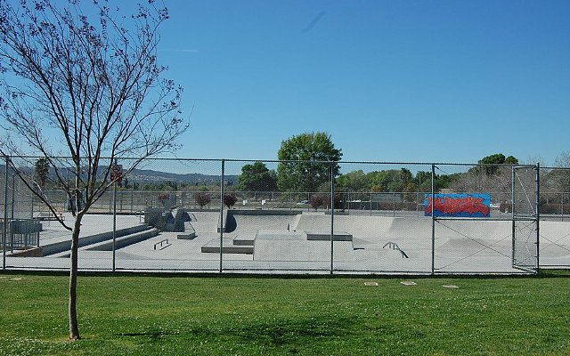 DSC 0004