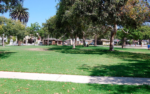 DSC 0143