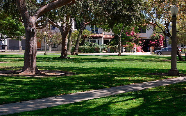 DSC 0138