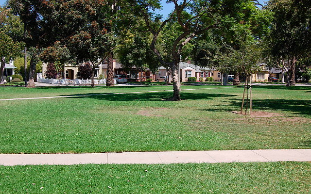 DSC 0135