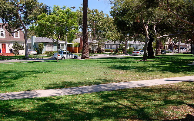 DSC 0112