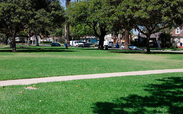 DSC 0157