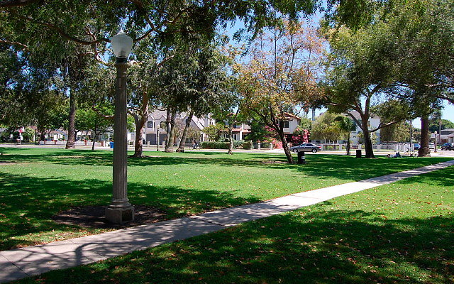 DSC 0141