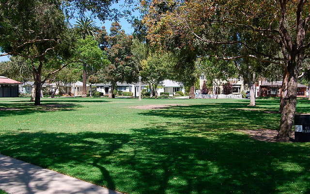 DSC 0146
