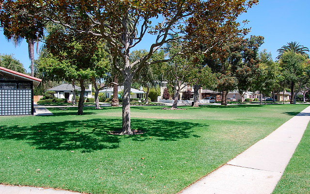 DSC 0131