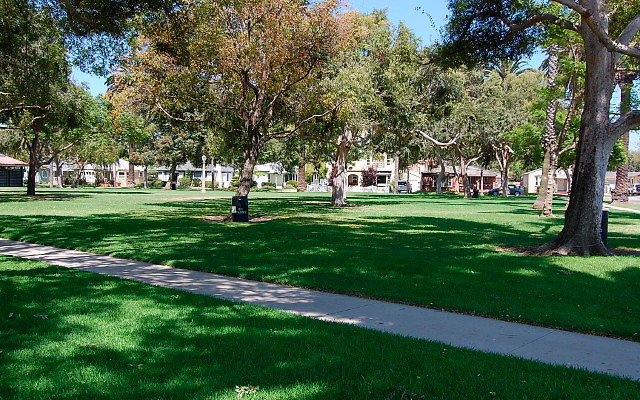DSC 0148