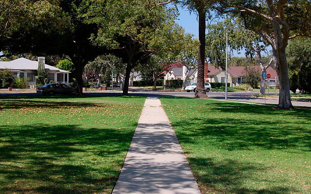 DSC 0116