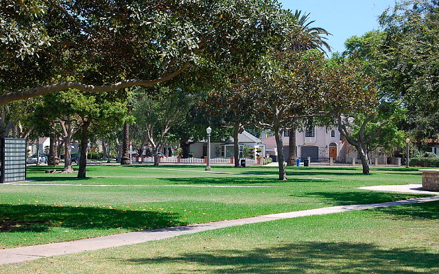 DSC 0164
