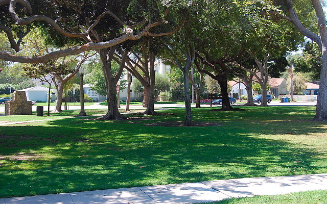 DSC 0159