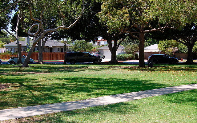DSC 0117