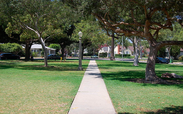 DSC 0161
