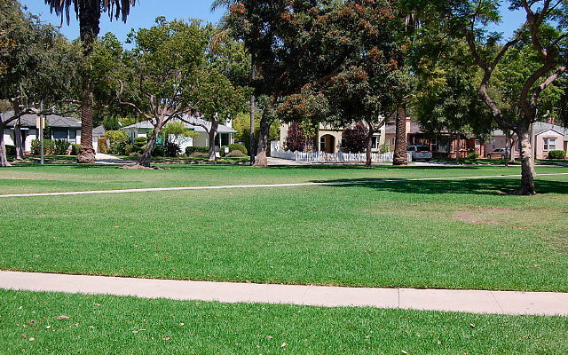 DSC 0136