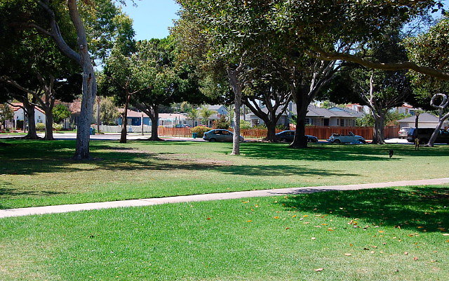 DSC 0123