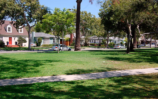 DSC 0111
