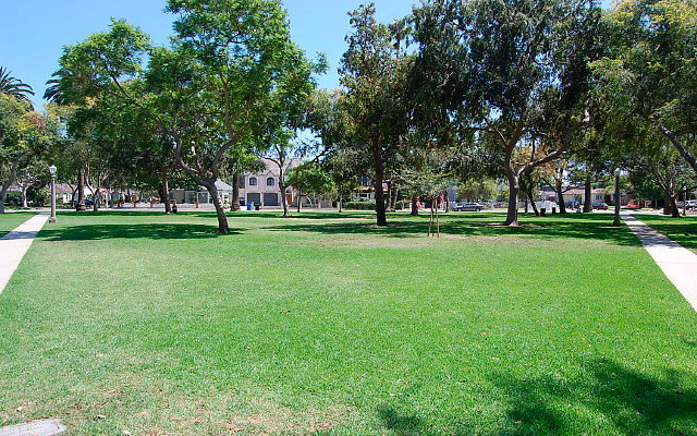 DSC 0132