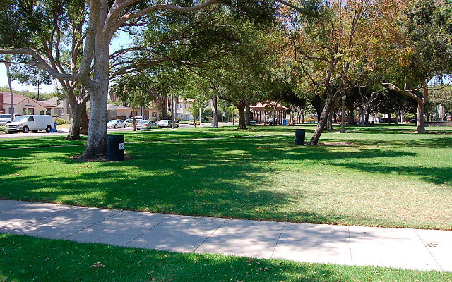 DSC 0151