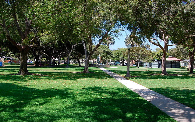DSC 0145