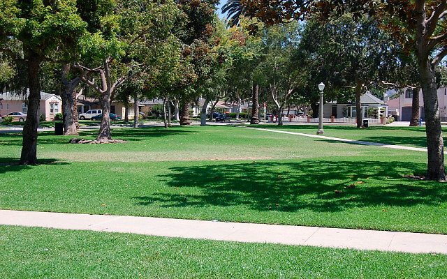 DSC 0125