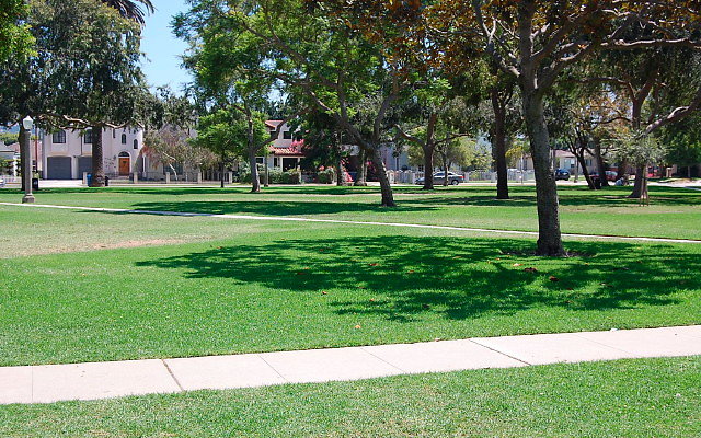 DSC 0121