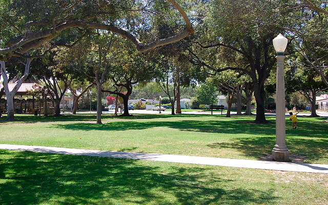 DSC 0119