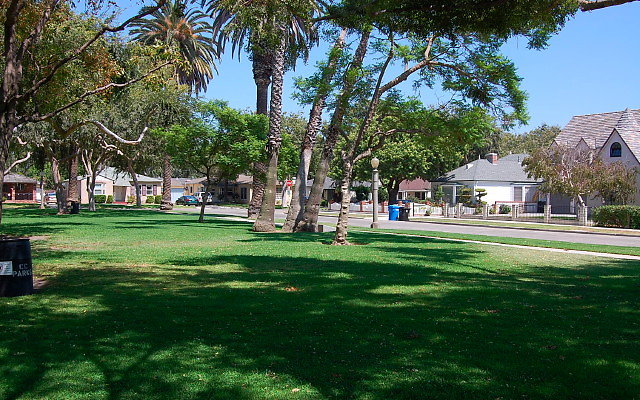 DSC 0147