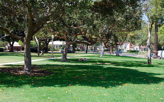 DSC 0124