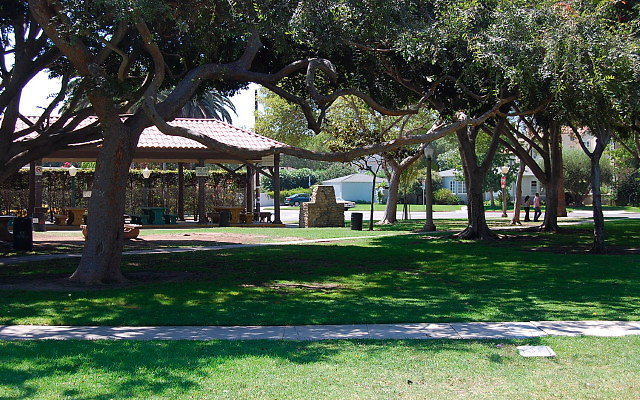 DSC 0122