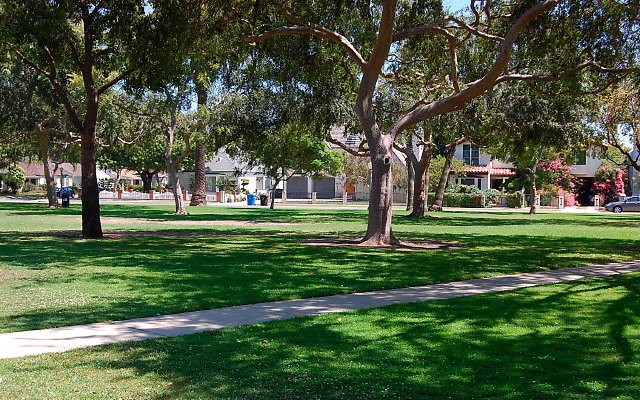 DSC 0137