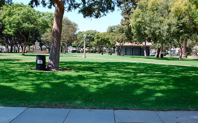 DSC 0154