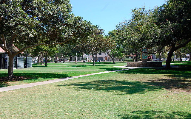 DSC 0163