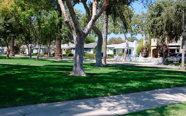 DSC 0155