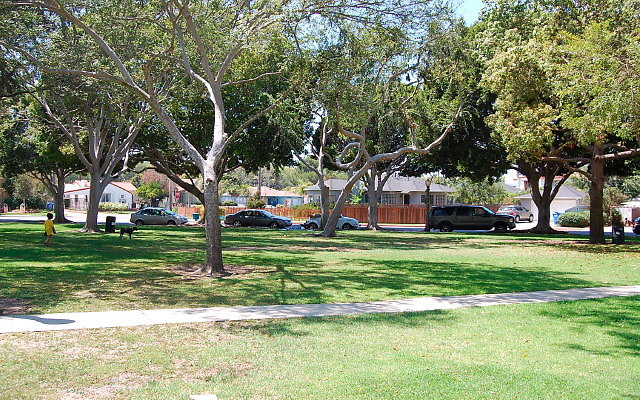 DSC 0120