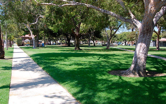 DSC 0149