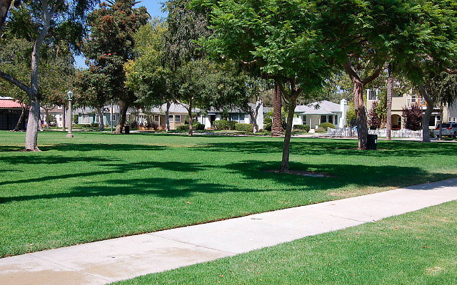 DSC 0152