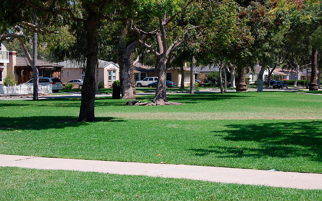 DSC 0126