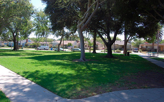 DSC 0133