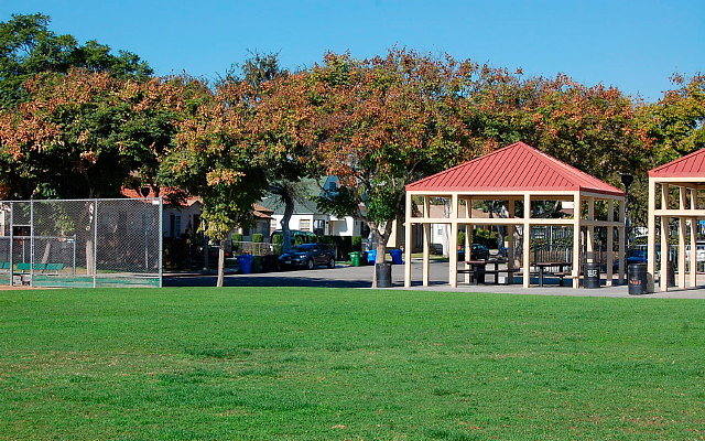 DSC 0040