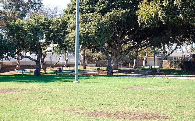 DSC 0028