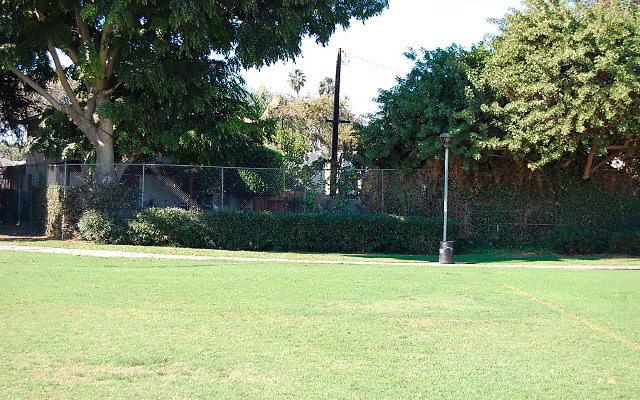 DSC 0029