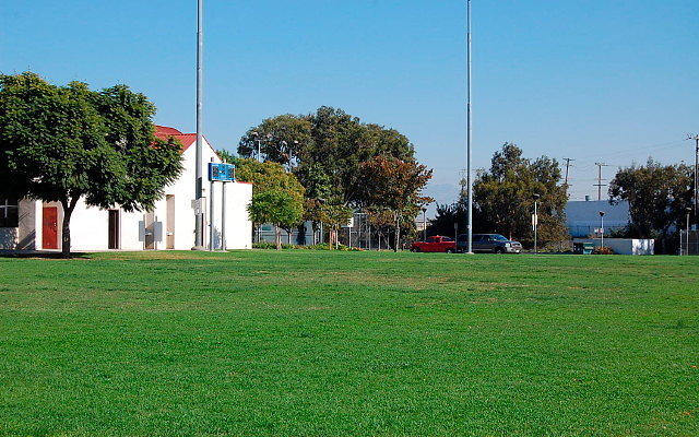 DSC 0034
