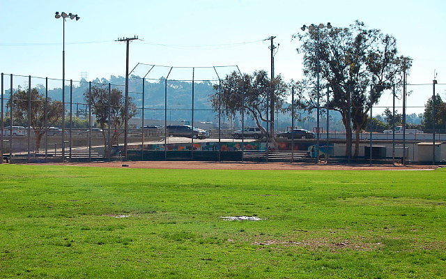 DSC 0006