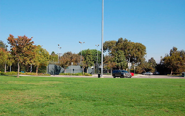 DSC 0045
