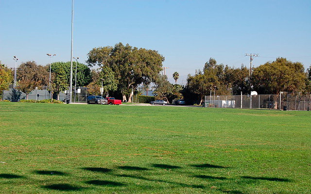 DSC 0014