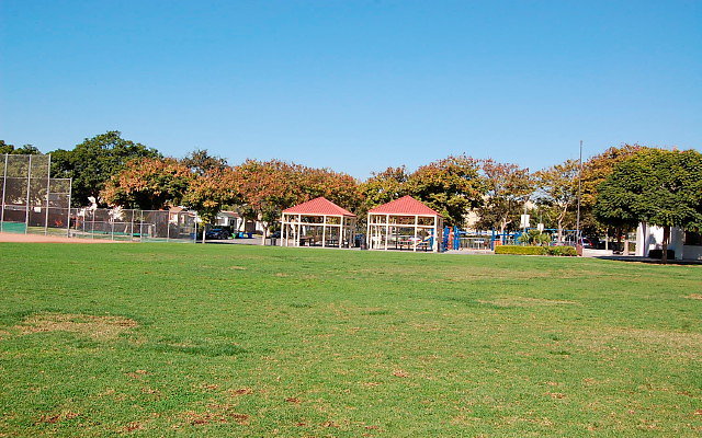 DSC 0018