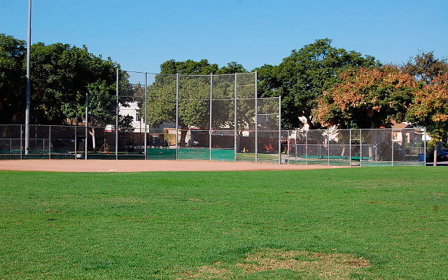 DSC 0021