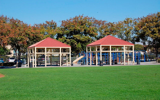 DSC 0042b