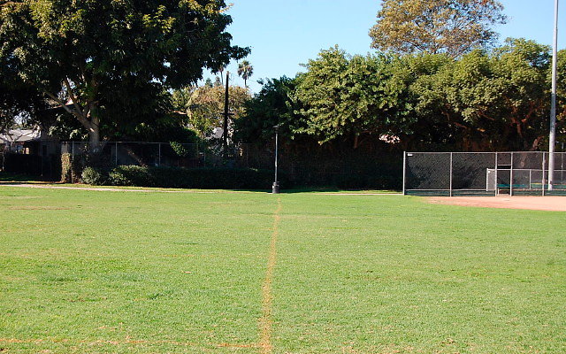 DSC 0020